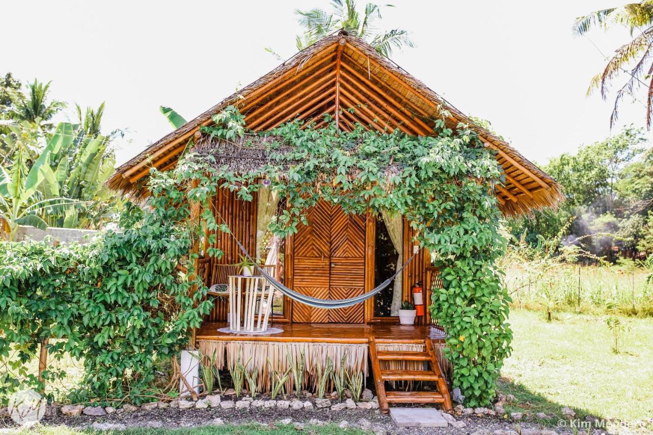 Tongo Hill Cottages Моалбоал Екстер'єр фото